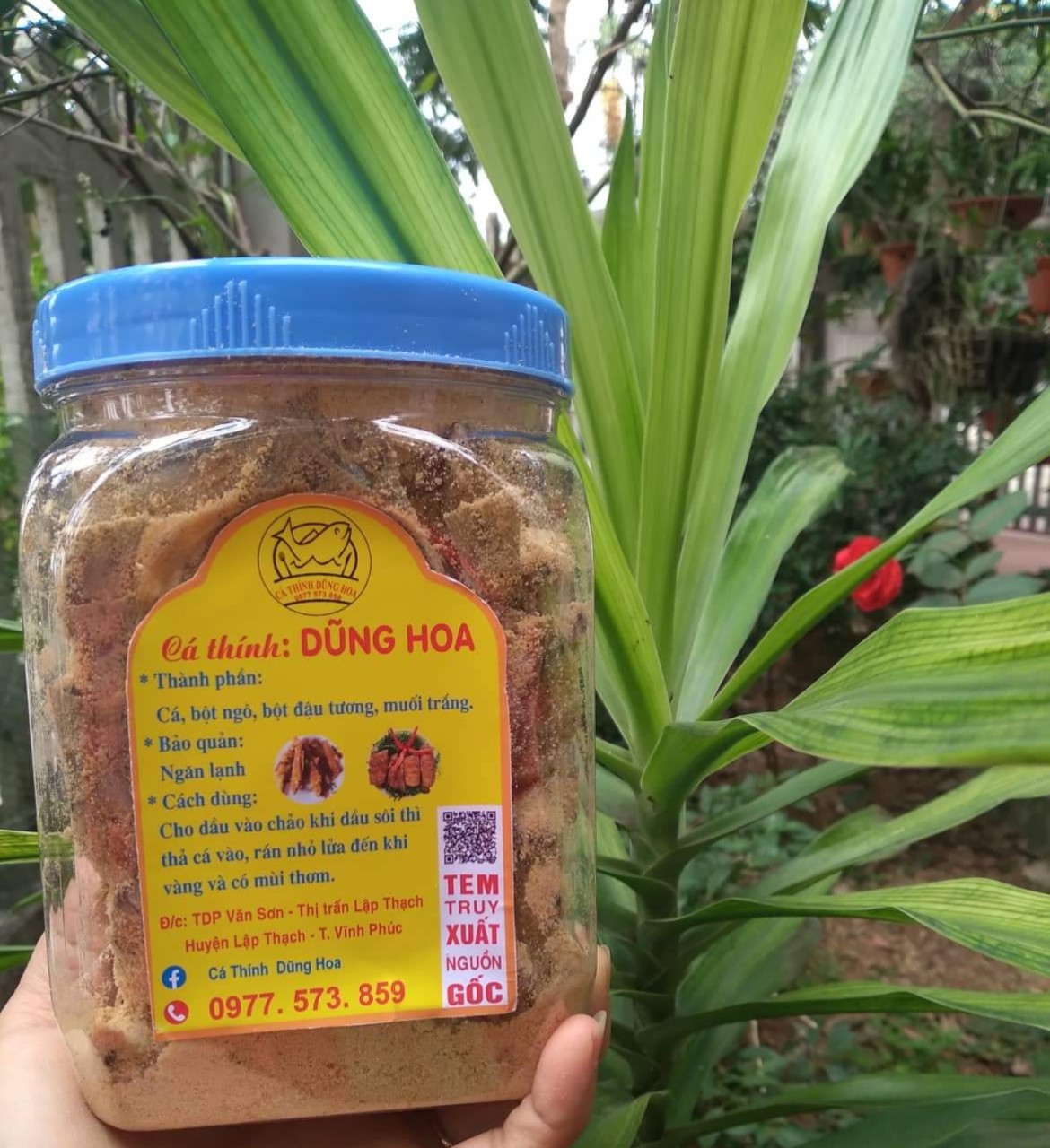 Ocop - Cá Chim thính Dũng Hoa - Hộp 1kg - Chỉ nhận giao nhanh nội tỉnh Vĩnh Phúc