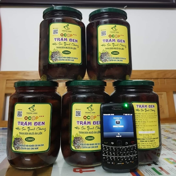 OCOP - Trám đen muối đóng lọ - Đặc sản Thanh Chương - Lọ 800 Gram