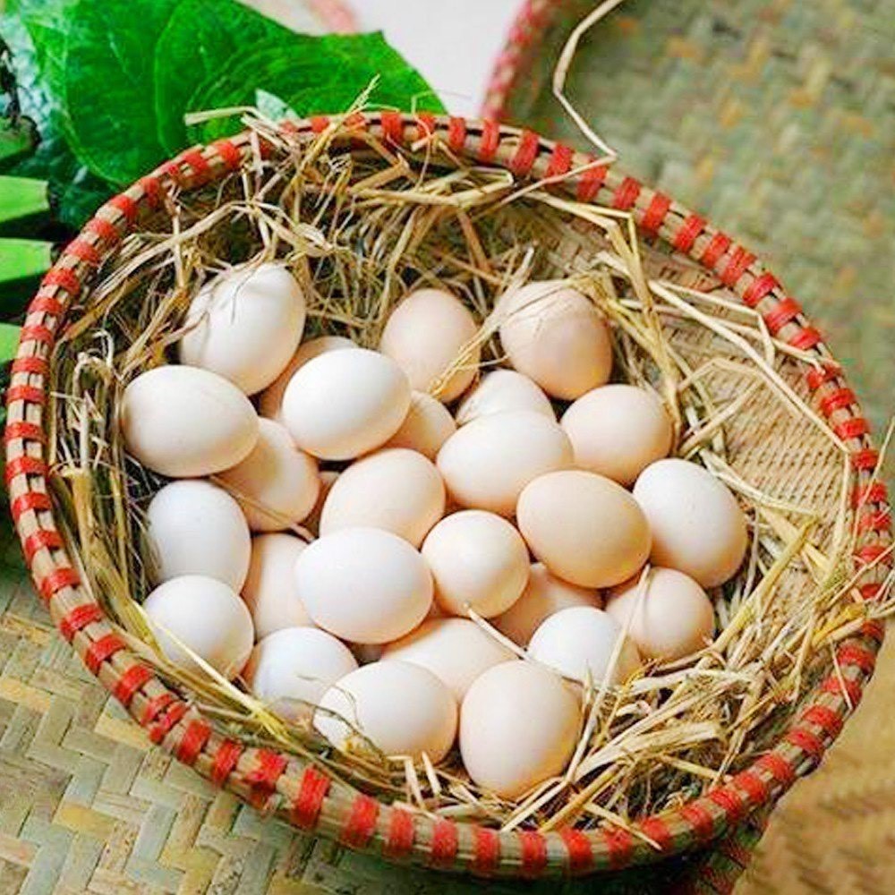 Trứng gà Vân Nghĩa - Chỉ giao nội tỉnh Thanh Hóa - 10 quả