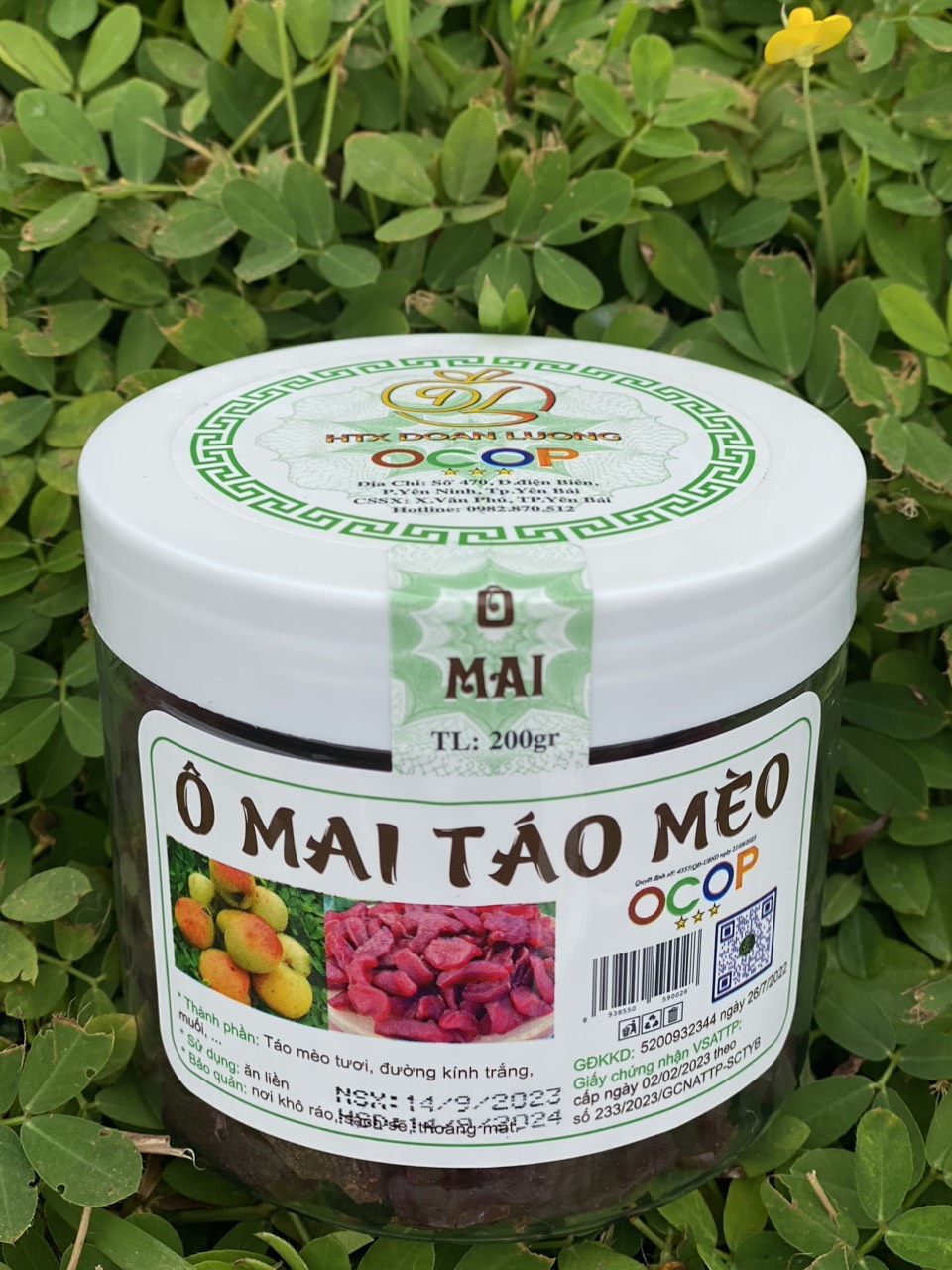OCOP - Ô Mai Táo Mèo Đoàn Lương - Đặc sản Yên Bái - Hộp 200gr