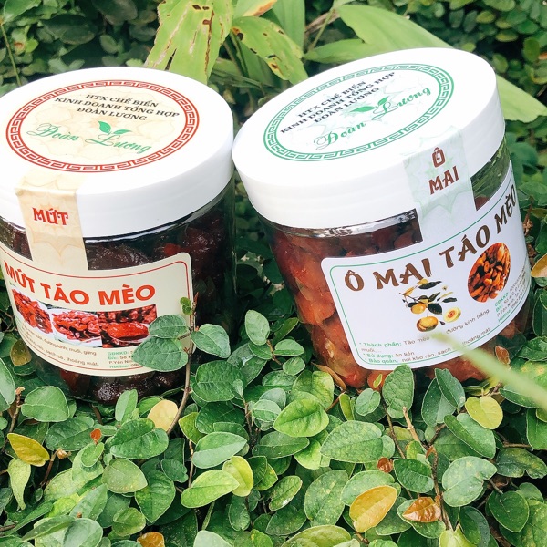 OCOP - Mứt Táo Mèo Đoàn Lương - Hộp 200g