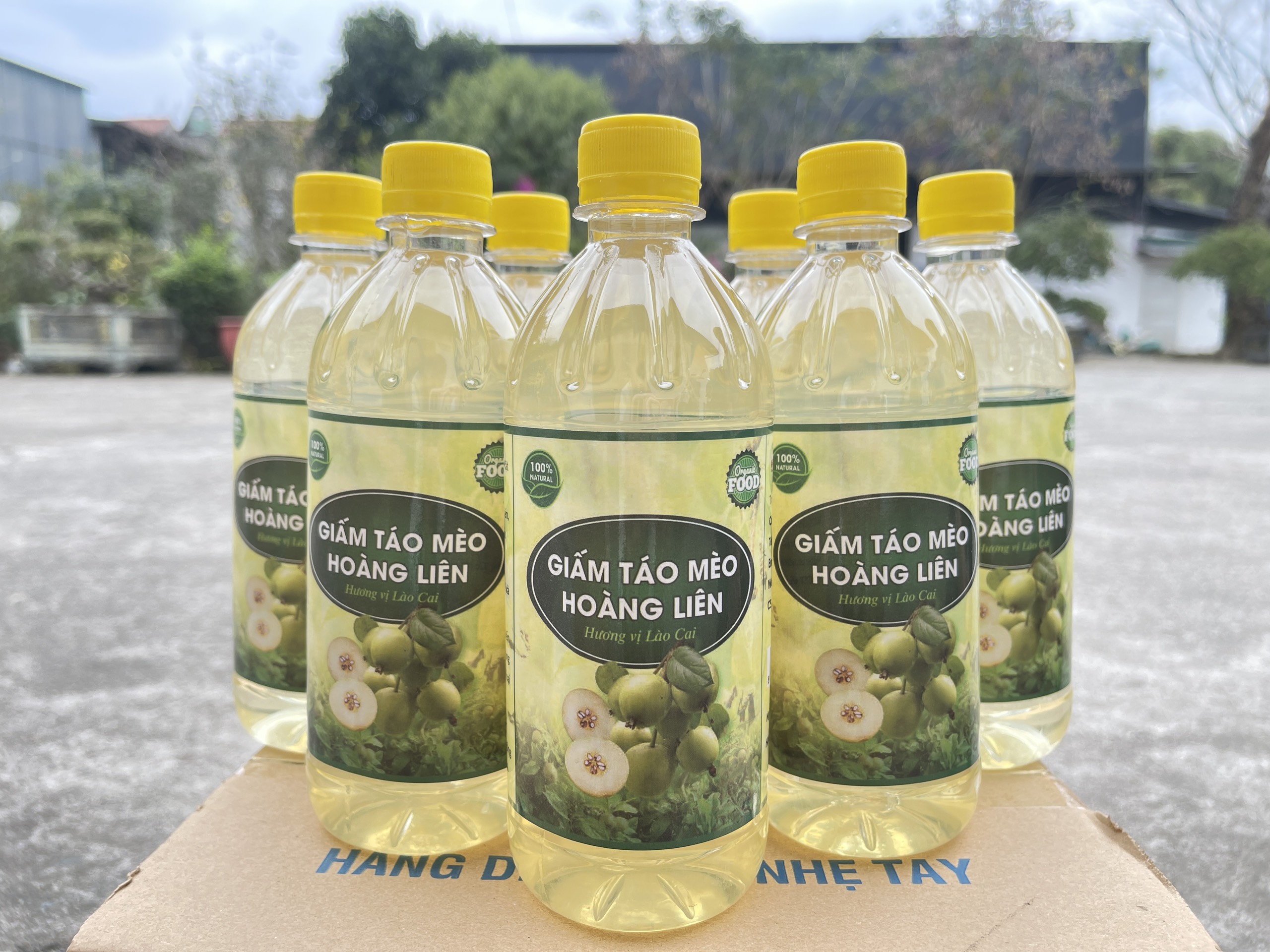 OCOP - Giấm táo mèo Hoàng Liên - Chai 500ml