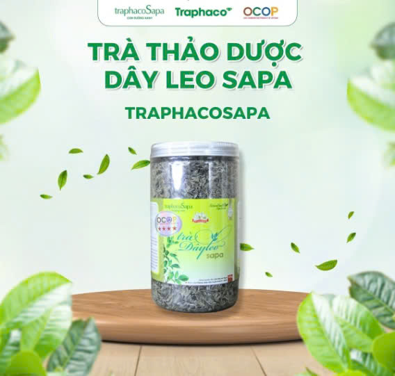 Trà Thảo Dược Dây Leo Sapa TRAPHACOSAPA OCOP 4 SAO Bảo Vệ Dạ Dày Thanh Nhiệt Mát Gan 100gr