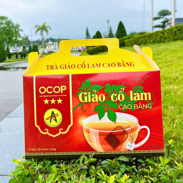 OCOP - Trà Giảo Cổ Lam Cao Bằng - Hộp x 20 túi x2g