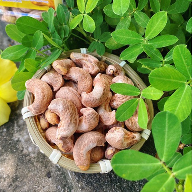 Ocop - Hạt điều rang muối cao cấp xuất khẩu WVL210 -250gr