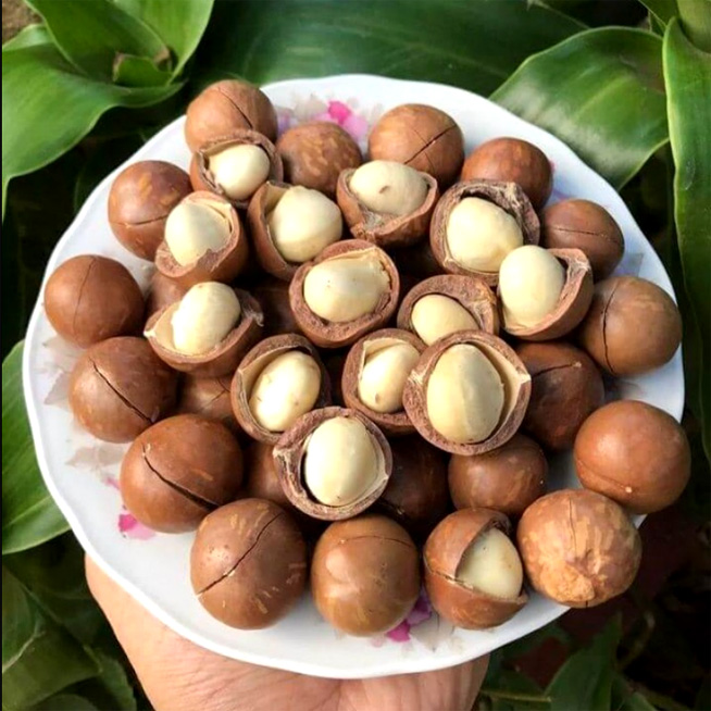 Đăk Lăk - Hạt Macca Nam Linh 100gram