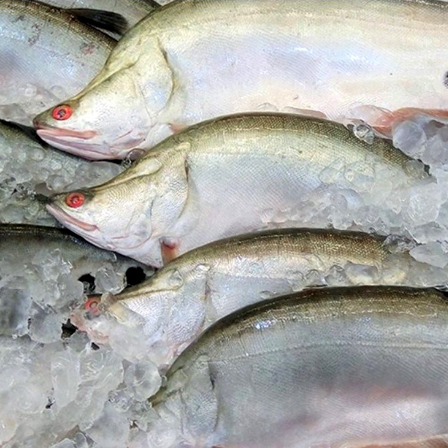 Cá thát lát rút xương 250g x 4 gói , giao hàng trong tỉnh Hậu Giang