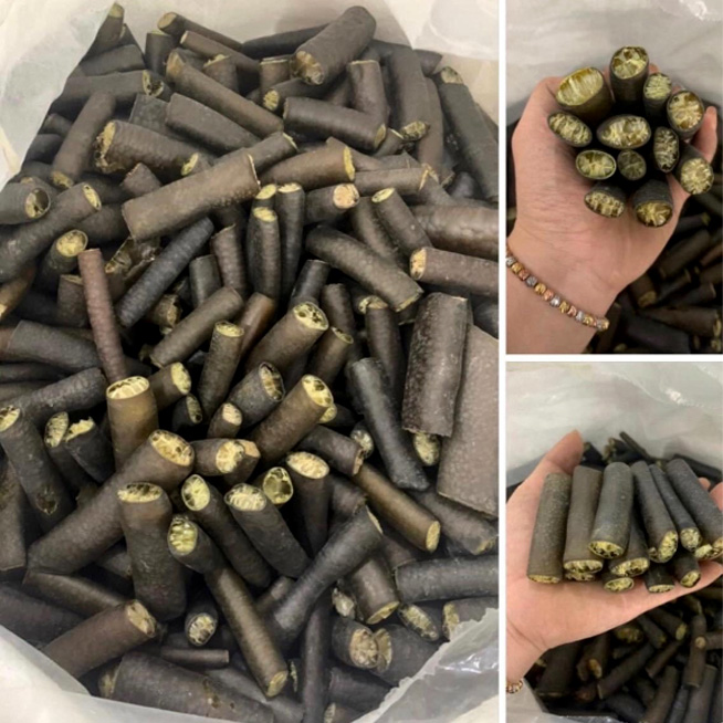 Tảo Ống Chi Lê Loại 1 500gr